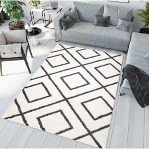 Modern szőnyeg minimalista mintával Szélesség: 80 cm | Hossz: 150 cm