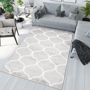 Stílusos szőnyeg egyszerű mintával Szélesség: 200 cm | Hossz: 300 cm